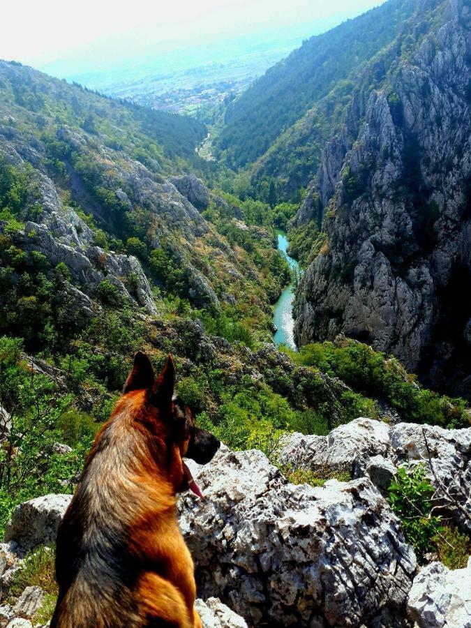 Apartman Studio Zdravko Eco Village Imotski Zewnętrze zdjęcie